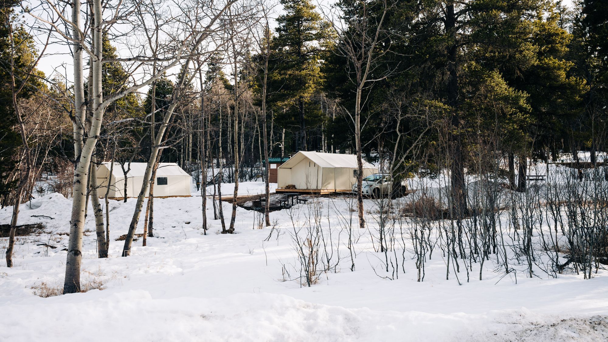 Saskatchewan Winter Adventure