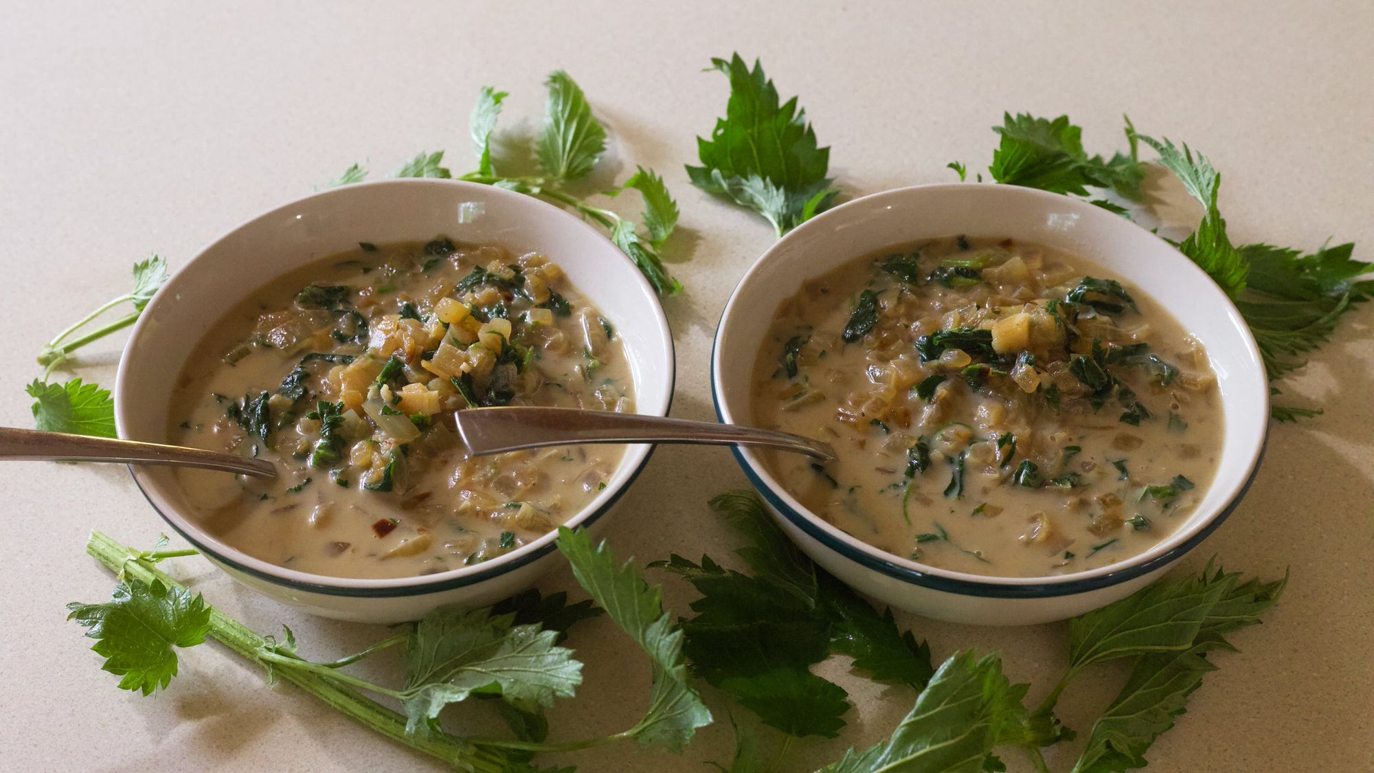 Nourishing Nettle Soup