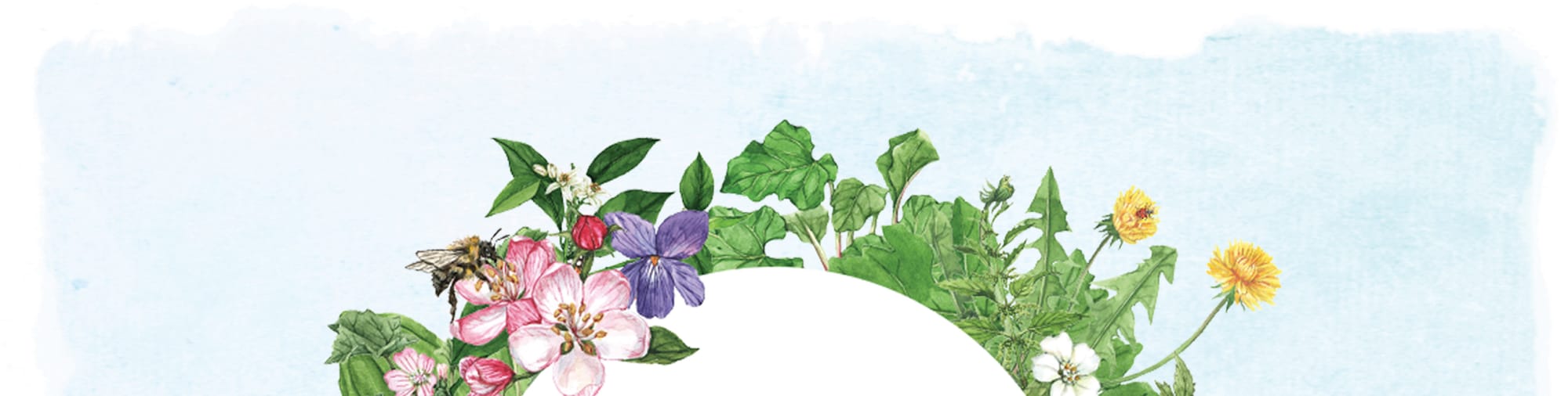 Your Yard is a Universe