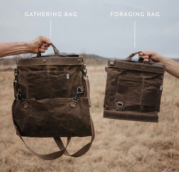 Gifts Guide: For Foragers & Nature Geeks