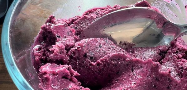 Grape Frozen Yogurt in Minutes (without an ice cream maker!)