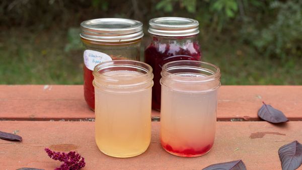 Easy DIY Fizzy Drinks