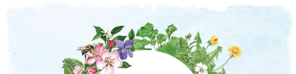 Your Yard is a Universe